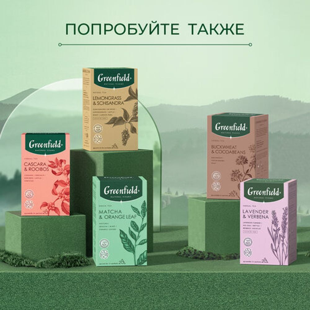 Чай GREENFIELD Natural Tisane "Double Mint" травяной, 20 пирамидок по 1,8 г, 1758-08