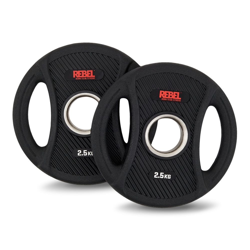 Диски олимпийские обрезиненные с двумя хватами 2,5 кг REBEL (пара)