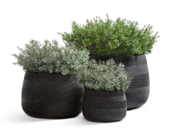 Кашпо TREEZ ERGO - серия Graphics - Низкая чаша - Чёрный графит