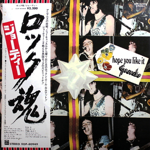 Geordie / Hope You Like It (LP)