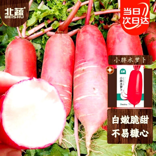 Китайский Гигантский Редис Четырёх Сезонов - 称四季萝卜