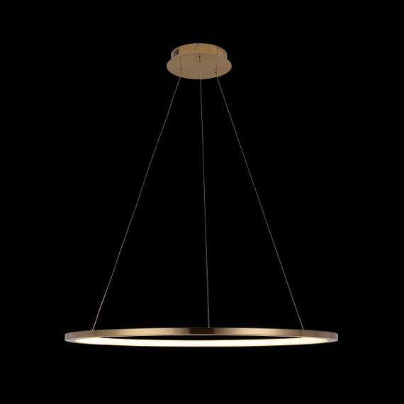 Подвесной светодиодный светильник Loft IT Ring 10014L