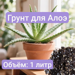 Грунт для растений "Алоэ", универсальный, для суккулентов, 1 л