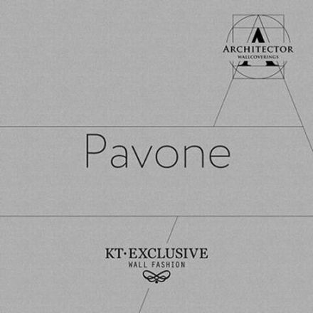 Pavone