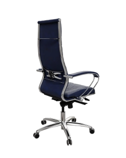 Эргономичное кресло Samurai B1-13K - GoyaLE /Kc31/Wm31/K2cV(M06.B31.G04.W03)