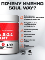 BCAA аминокислоты для мужчин и женщин, для набора мышечной массы / Soul Way / 180 капсул