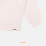  Толстовка мужская Dickies Enterprise Sweatshirt артикул:DK0A4Z4KF901 - купить в магазине Дайс