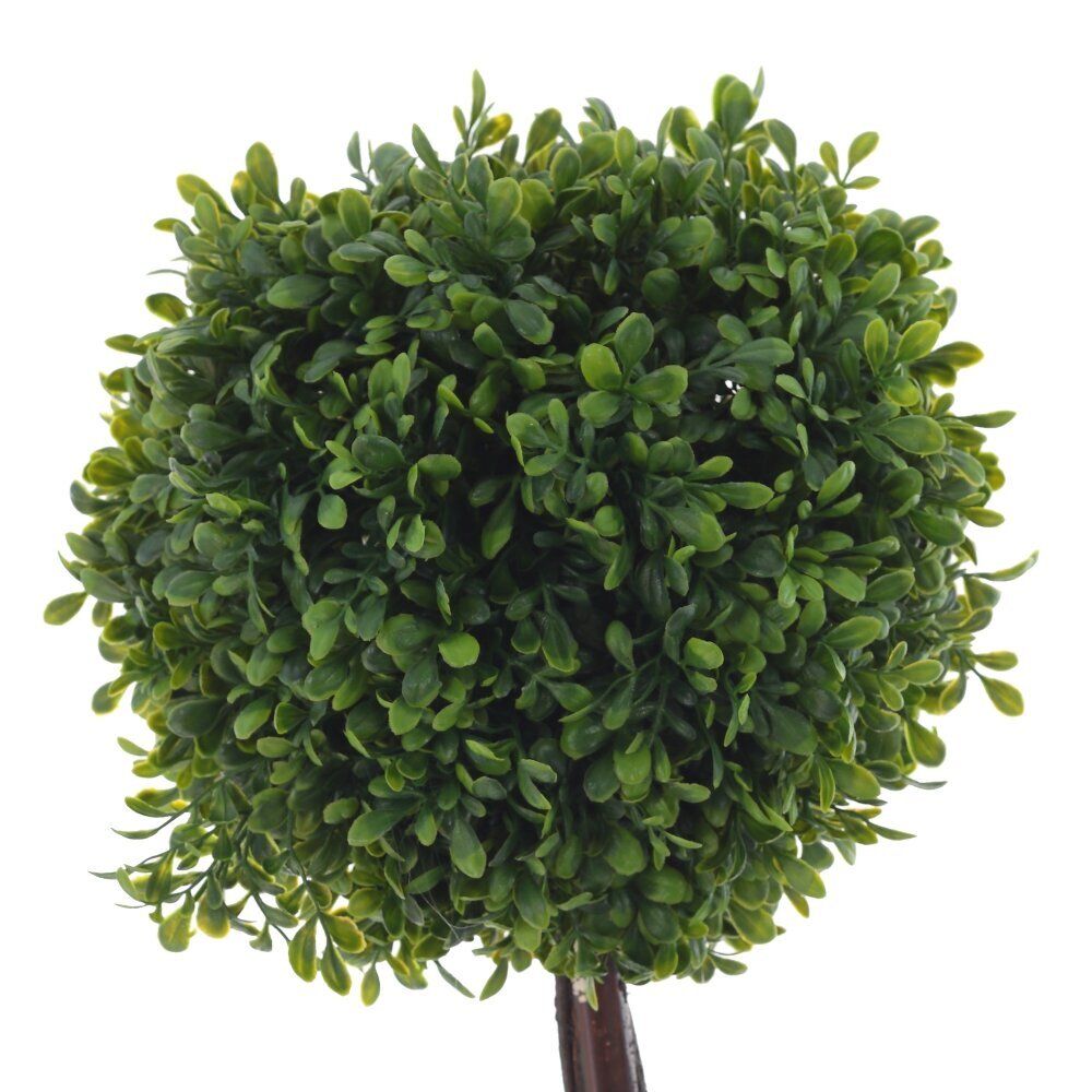 GAEM Цветочная композиция "Самшит", L27 W27 H55 см