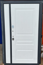 Дверь входная Венеция двустворчатая