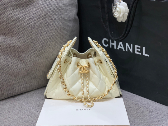 Chanel 25 Mini Handbag 22 cm