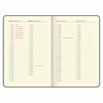 Ежедневник датированный 2025 А5 148х218 мм GALANT "Infinity Silver", под кожу, бежевый, 115725