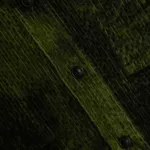 Рубашка Меч Corduroy Black Moss темно-зеленая