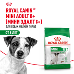 Royal Canin Mini Adult 8+ сухой корм для взрослых собак мелких размеров до 10 кг старше 8 лет 4 кг