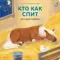 Книжки - картонки. Загадки - рифмы. Кто как спит