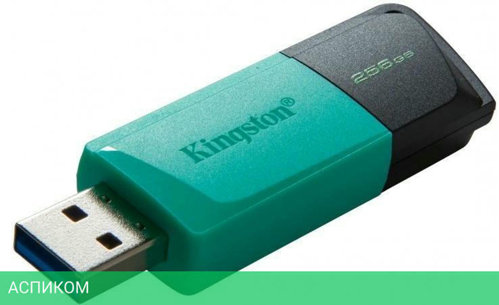 USB Flash-накопитель Kingston DataTraveler Exodia M (DTXM/256GB)