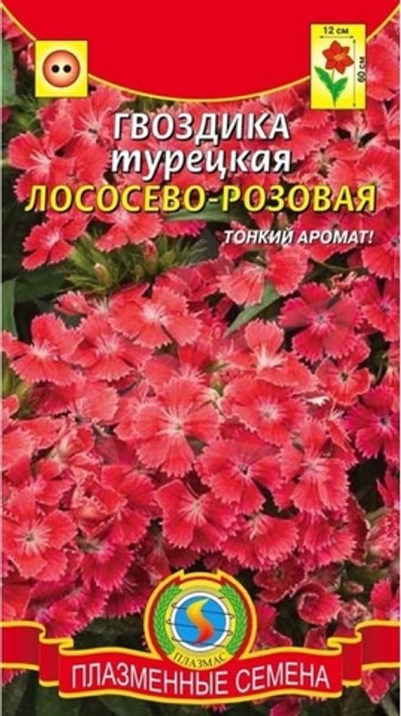 Гвоздика турецкая лососево-розовая