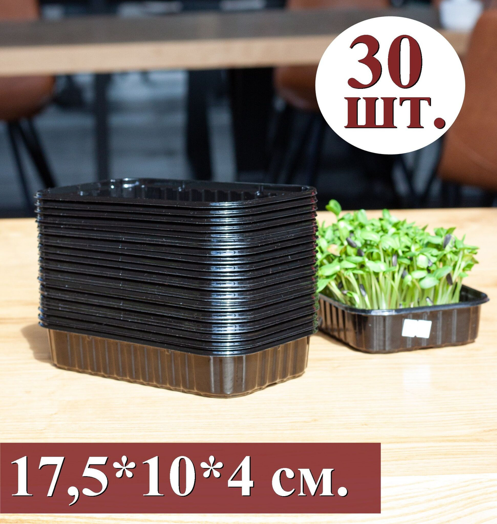 Лотки для выращивания черного цвета 30 штук, 175*100*40 (дно 165*95), пластиковые контейнеры, лотки для выращивания микрозелени, контейнеры для проращивания рассады, вес 10гр