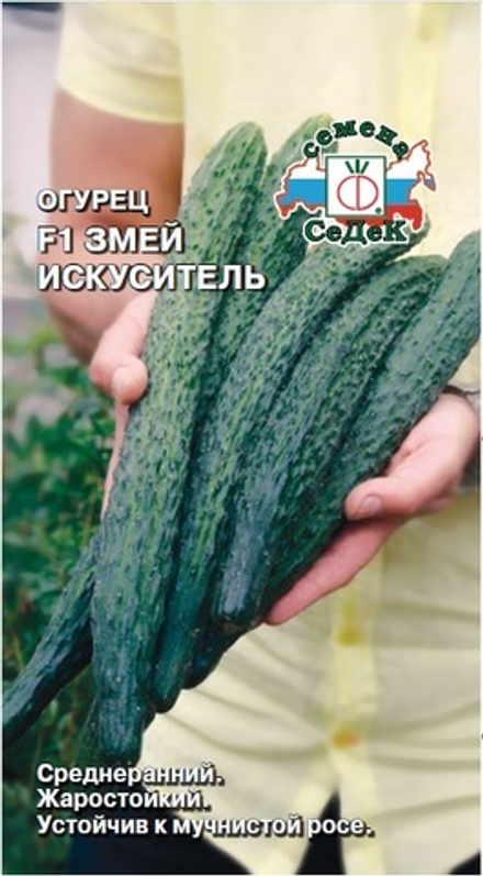 Огурец Змей Искуситель Седек