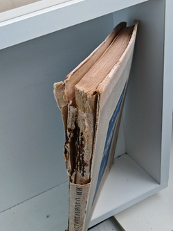 История растительного мира СССР