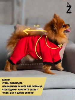 Комбинезон для собак кошек сфинкс кофта костюм для животных