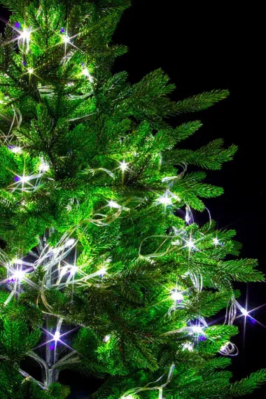 Светодиодная нить 7 м., 220V, 100 холодных белых LED ламп, контроллер, прозрачный провод, Winner Light (w.01.5T.100-)