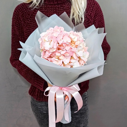 Розовая гортензия в оформлении