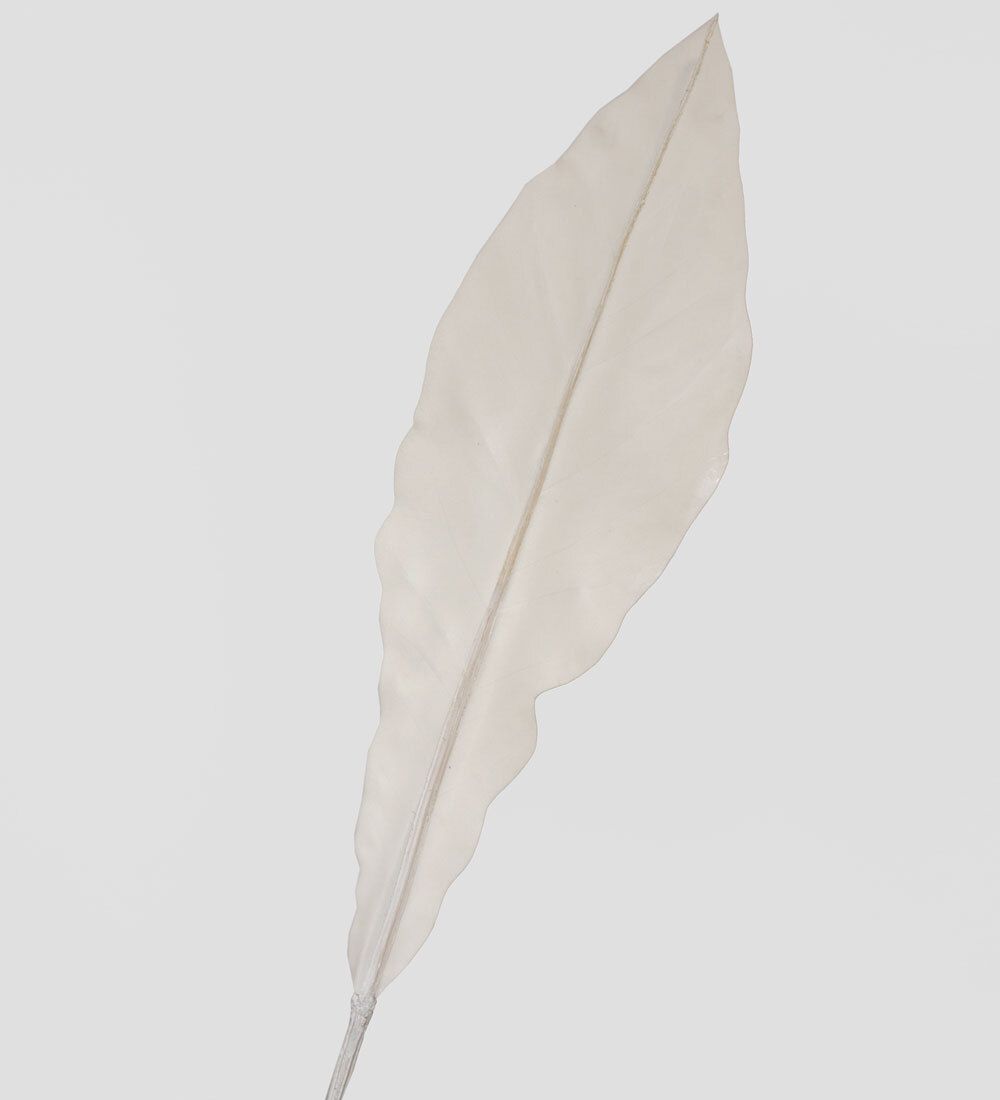 TR 605L Антуриум