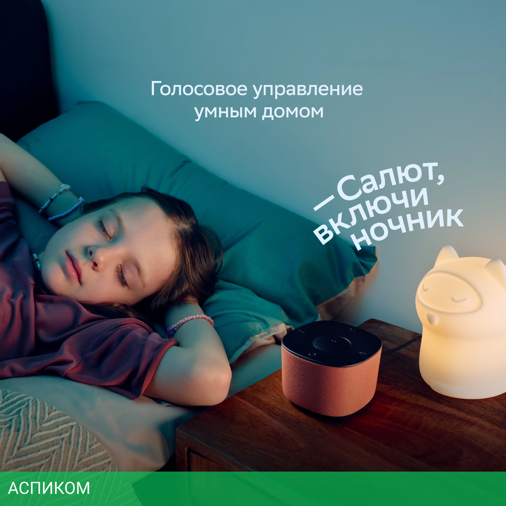 Умная колонка Sber Boom Home серый (SBDV-00171G)