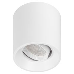 Светильник настенно-потолочный спот ЭРА OL25-1 WH MR16/GU5.3, белый, поворотный