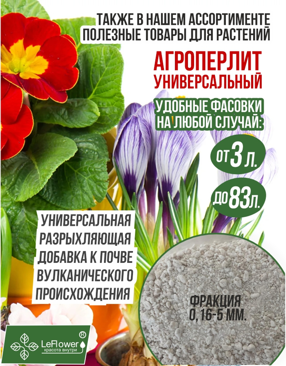 Тюльпан Малайзия 10луковиц