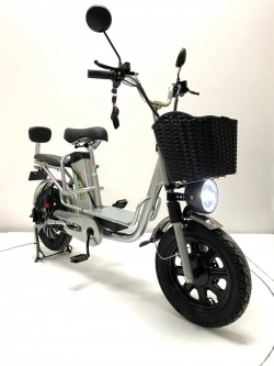 Электровелосипед Green Camel Транк Монстр PRO (R16FAT 500W 48V15Ah) гидравлика