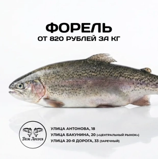 Форель Морская свежемороженная от 800 рублей!