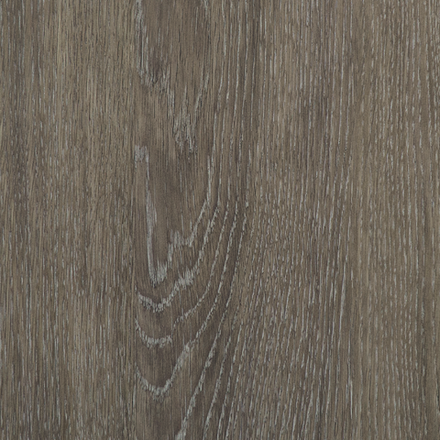 Дуб швейцарский