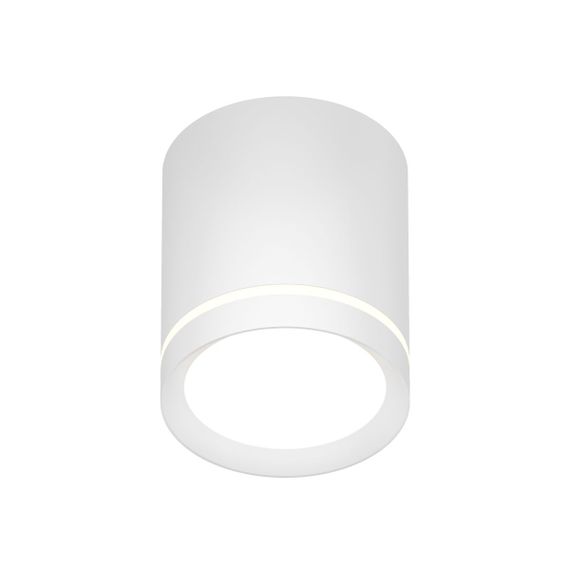 Накладной светодиодный светильник Denkirs Ribe DK4013-WH