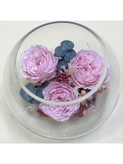 Натуральные пионы в стекле, вакуум