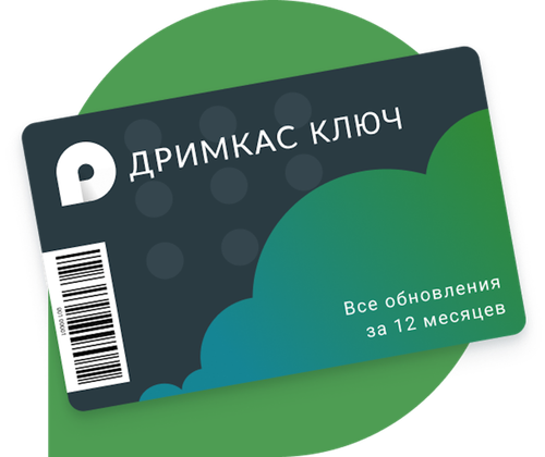 Дримкас Ключ на 12 месяцев