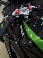 Cavalo Panigale Replica
