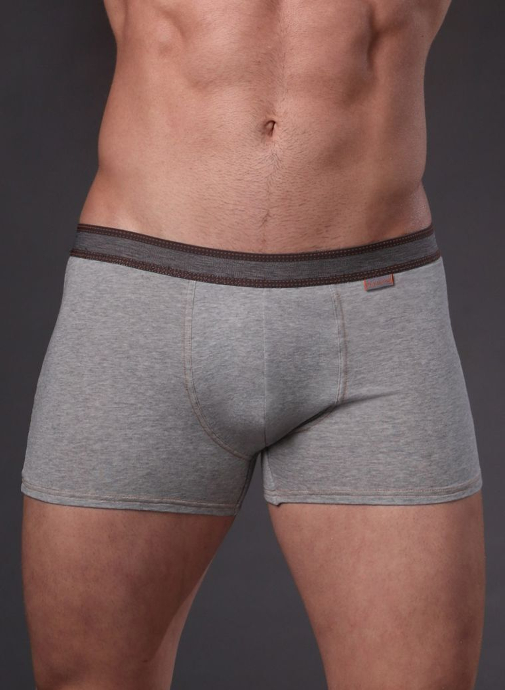 Облегающие хлопковые трусы-боксеры (Размер: L) (Цвет: серый меланж)