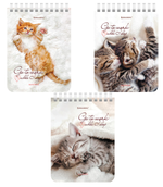 Блокнот А6 40л. клетка "Идеальный офис" гребень, картон (BRAUBERG)