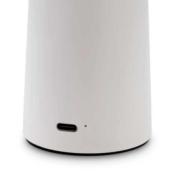 Аккумуляторный светильник Гриб / Mushroom Freya fr6109tl-l4w