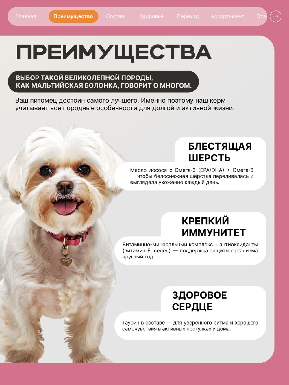 Корм сухой для взрослых собак породы Мальтийская болонка, с ягненком, 12 кг, QUATTRO