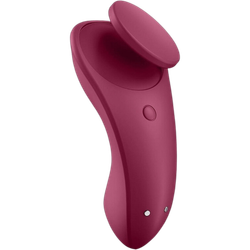 Вибратор на магните в трусики Sexy Secret (с приложением на смартфон)