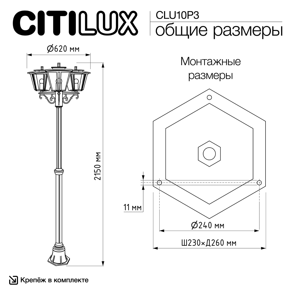 Citilux FORTS CLU10P3 Уличный парковый светильник