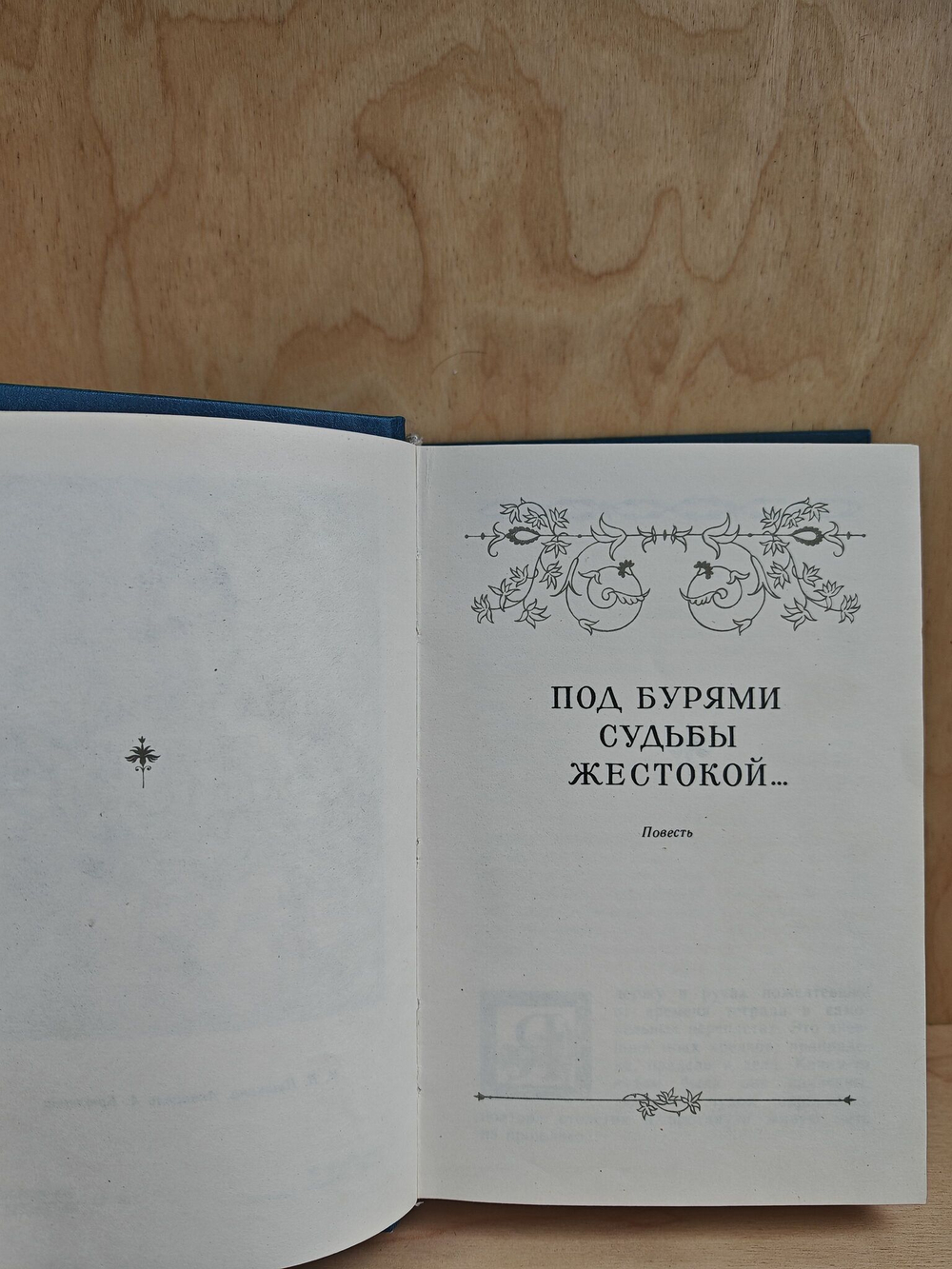 Моя мадонна