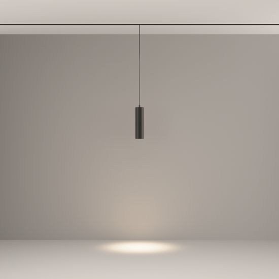 Трековый подвесной светильник Technical TR041-2-12W4K-B