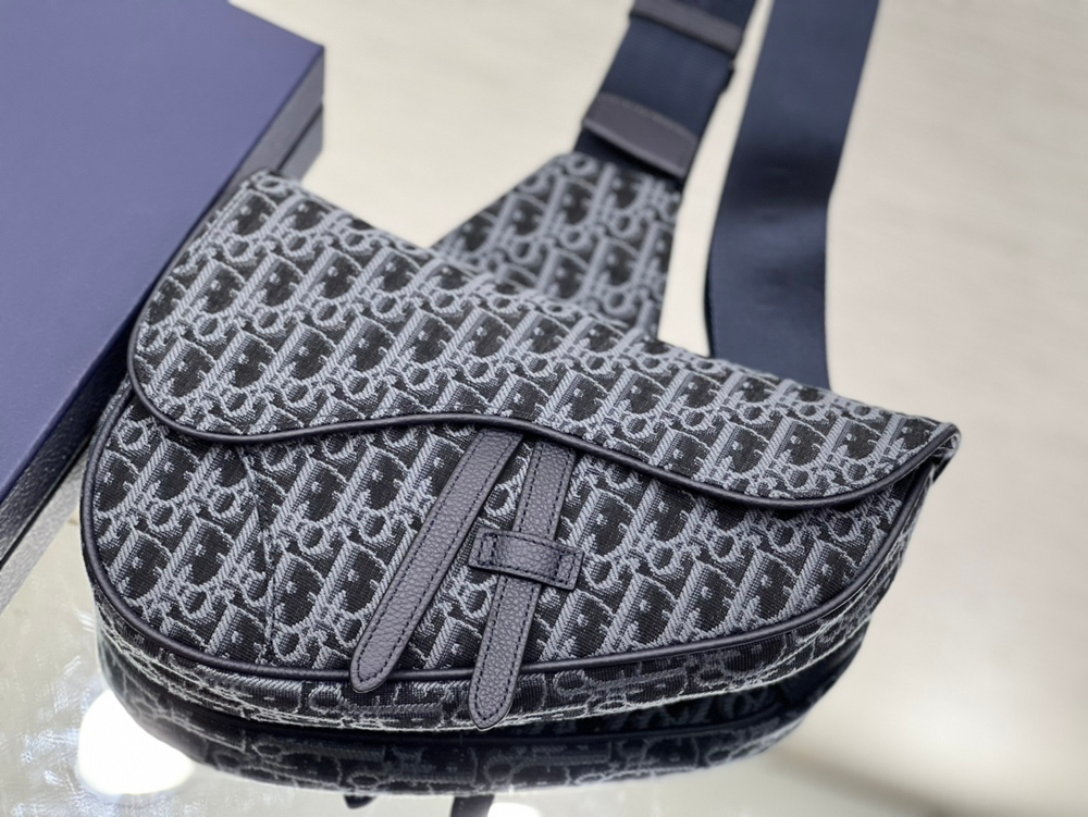 Christian Dior Saddle 26 cm