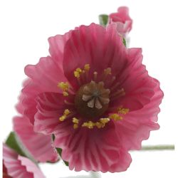 GAEM Цветок искусственный "Мак" (Real Touch), L15 W13 H70 см