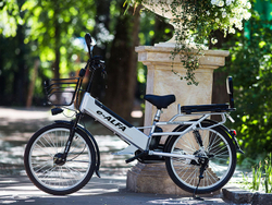 Электровелосипед Green City e-ALFA L с кофром