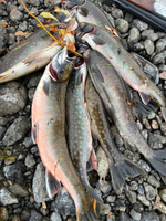 Комбинированный тур "Путешествие по южной Чукотке"