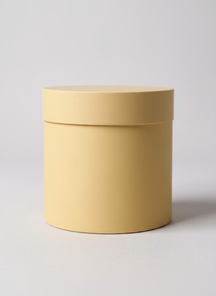 Плотная шляпная коробка с крышкой без лент. Цвет: персиковый.